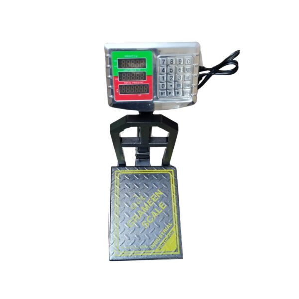 Heavy Weight Scale - 100kg GWS-994